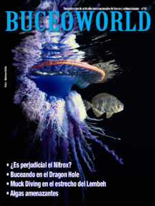 revista buceo 43