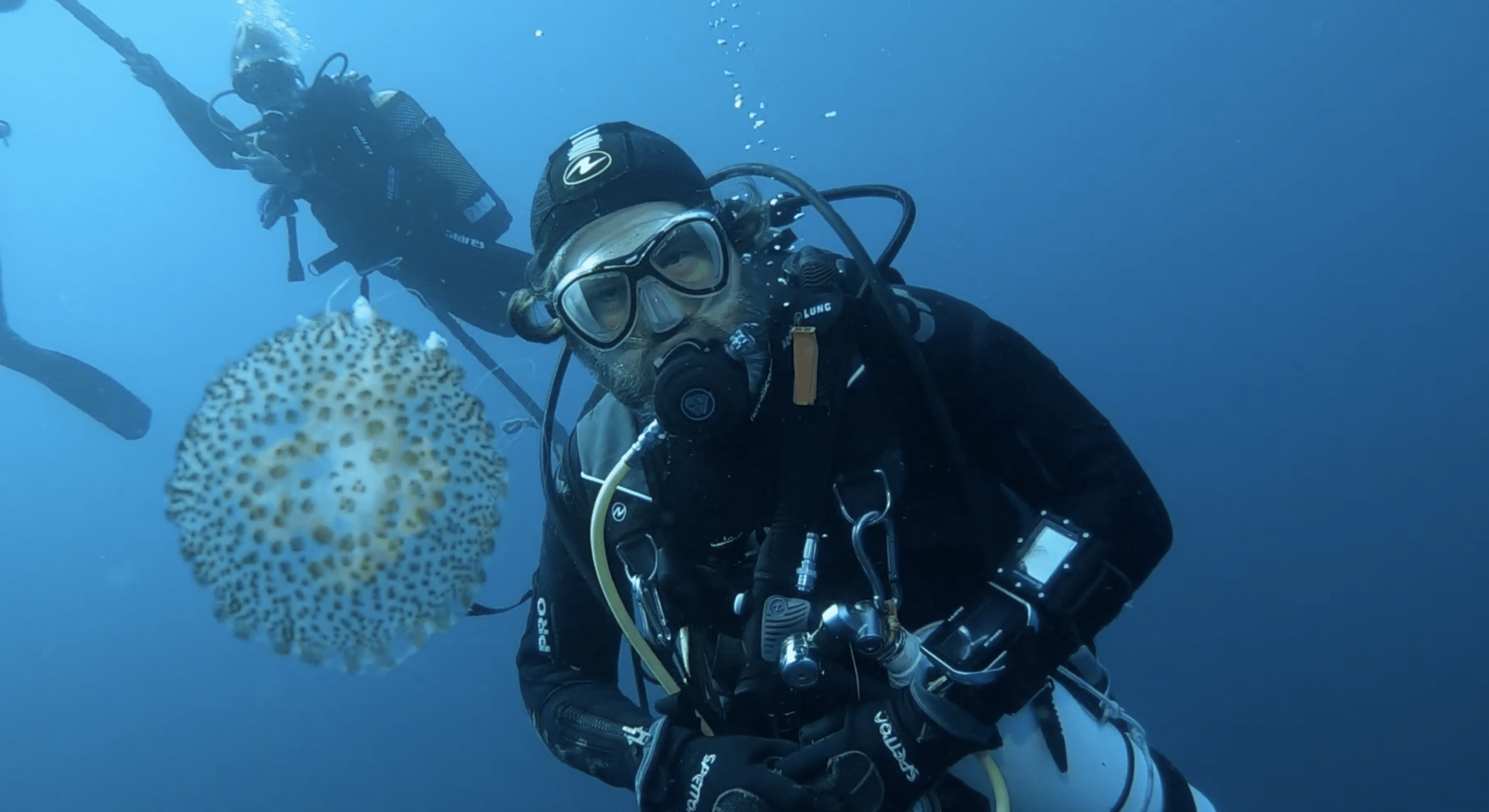 buceo cabo palos