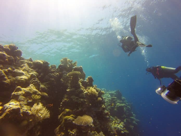 blue-corner-reef-696x522