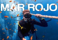 buceo vida a bordo