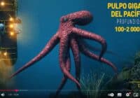 criaturas aguas profundas