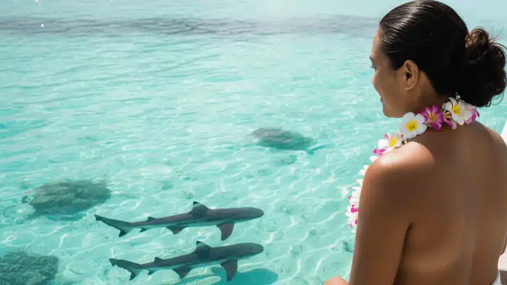 Mujer en una canoa polinesia observando tranquilamente a los tiburones nadar en el agua turquesa de Moorea.