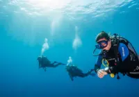 Buceadora consultando su ordenador de buceo mientras otros dos buzos nadan en el fondo del océano azul.